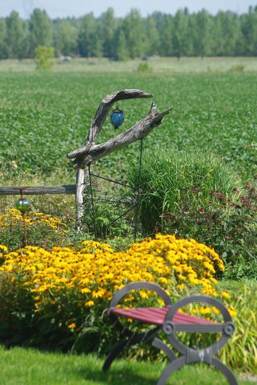 Bed & Breakfast Atelier Galerie Anne Drouin Peinture & 2*